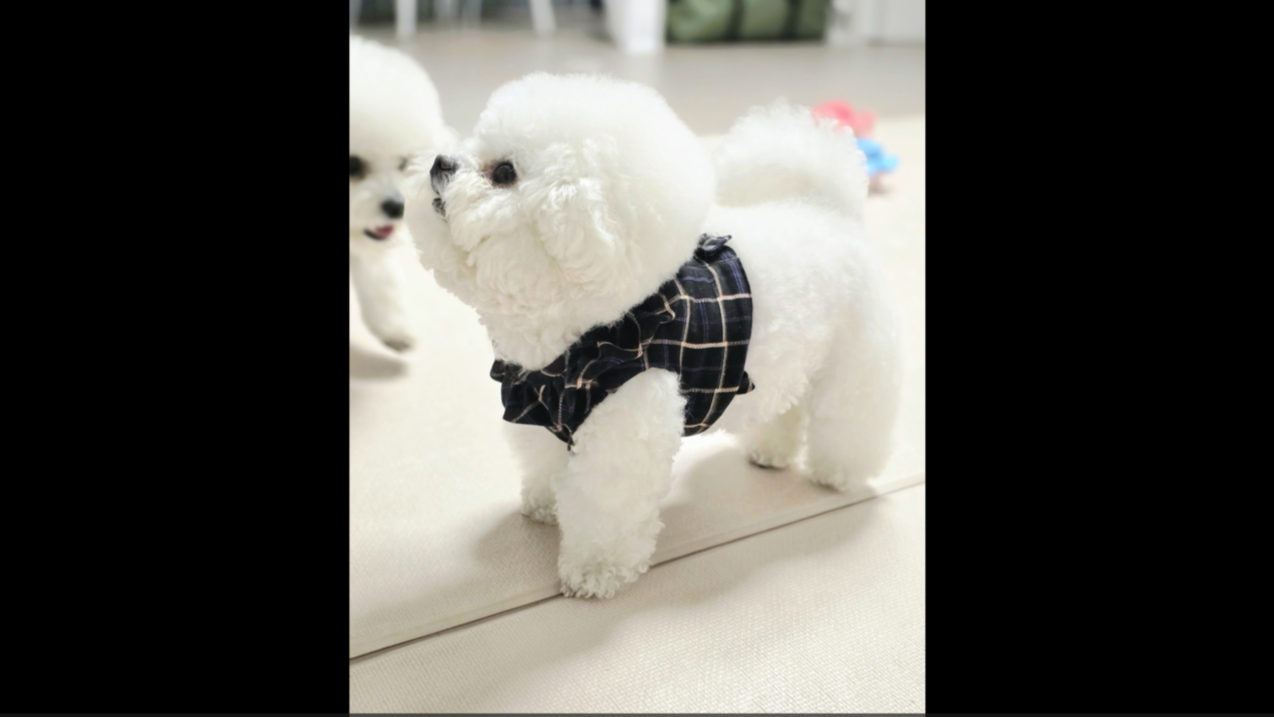 1 (14).png 이미지입니다.