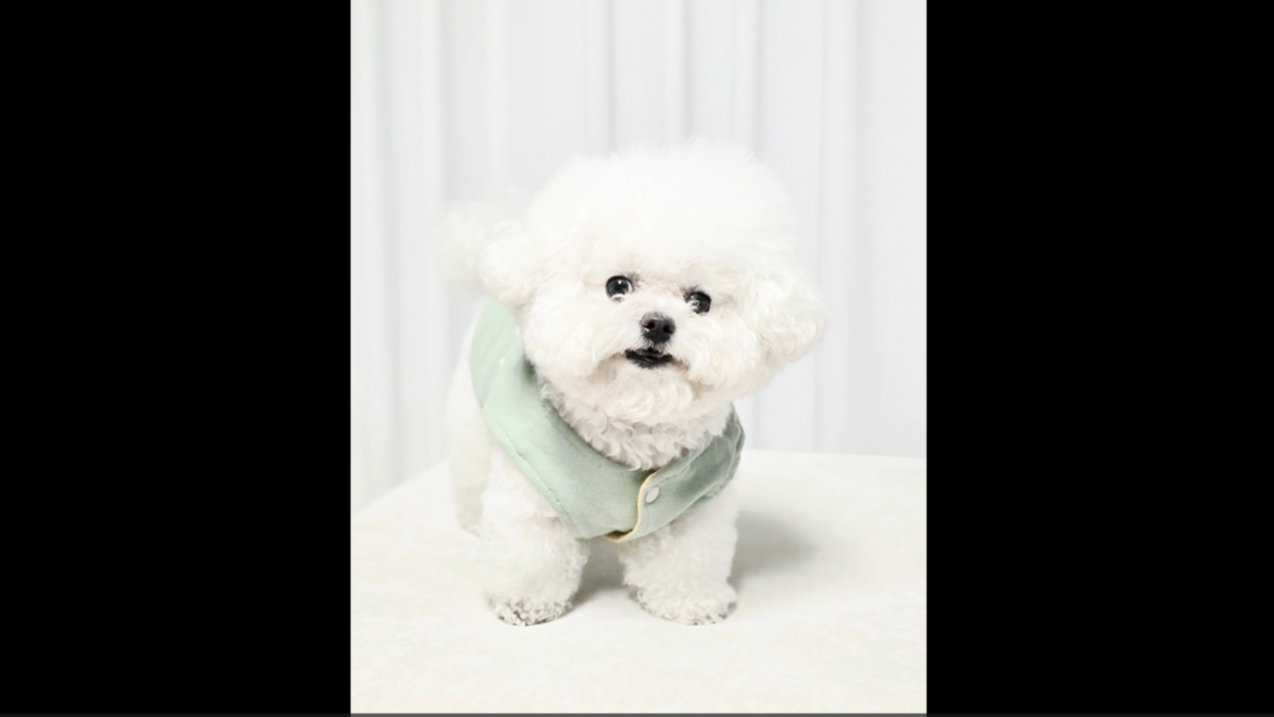 1 (16).png 이미지입니다.