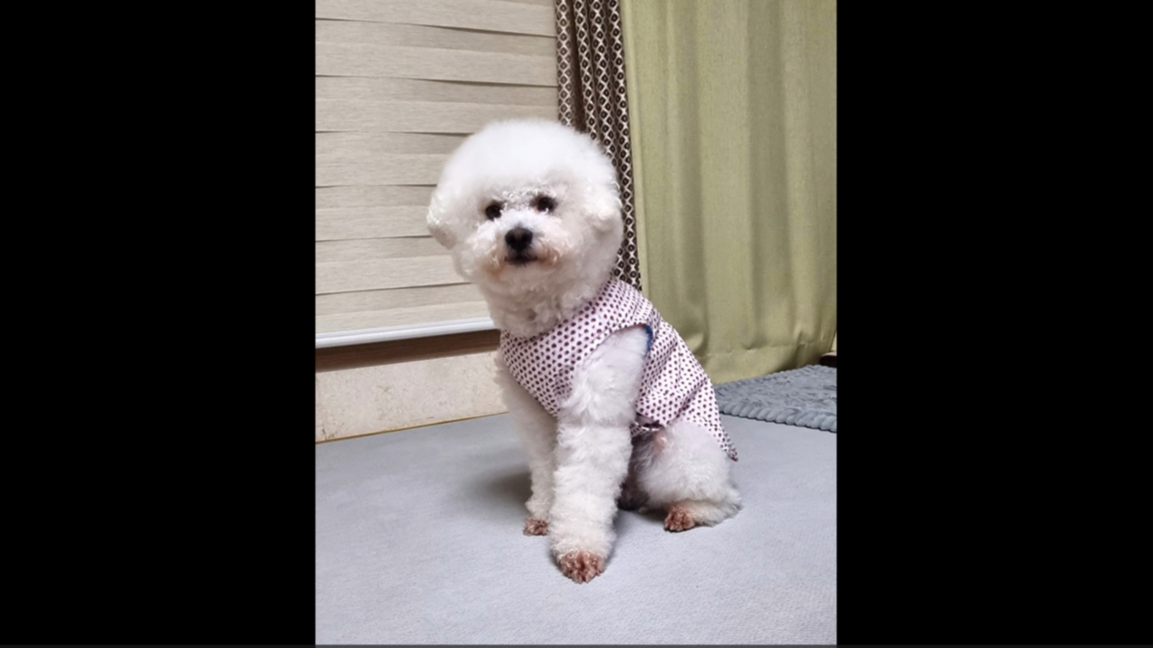 1 (17).png 이미지입니다.