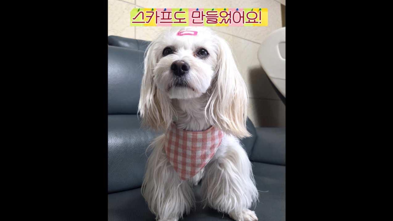 1 (23).png 이미지입니다.
