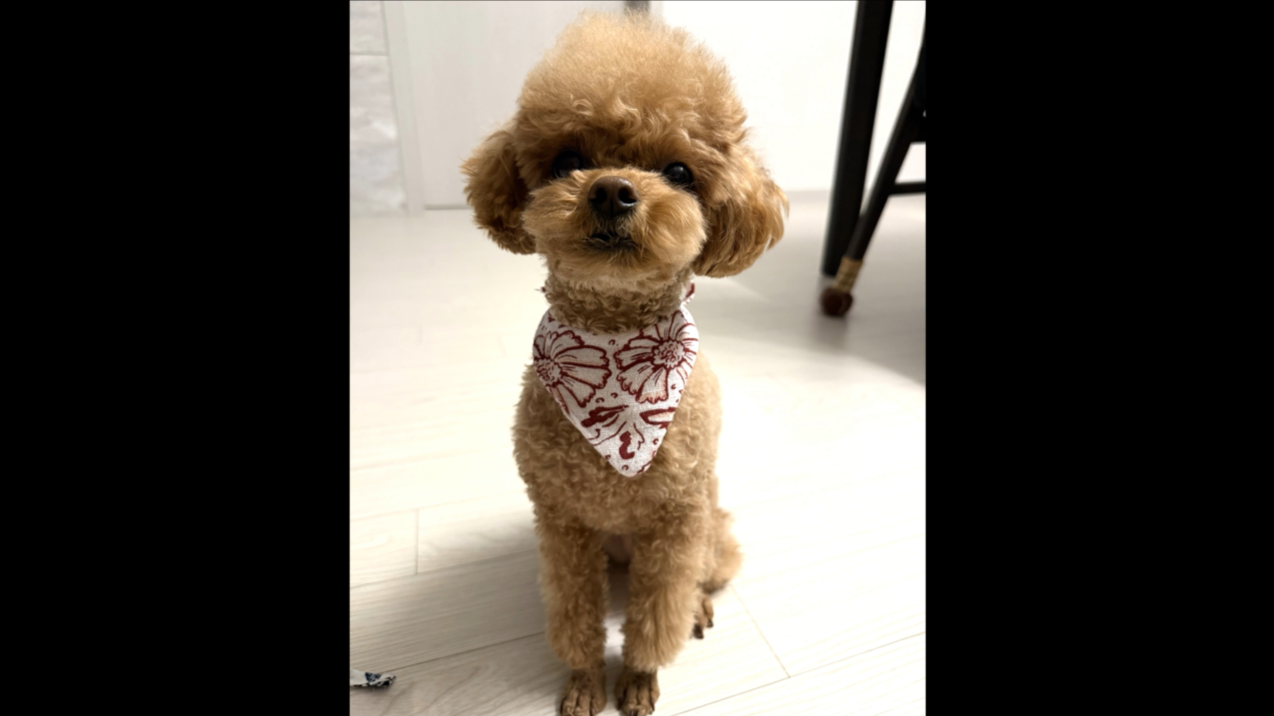 1 (26).png 이미지입니다.
