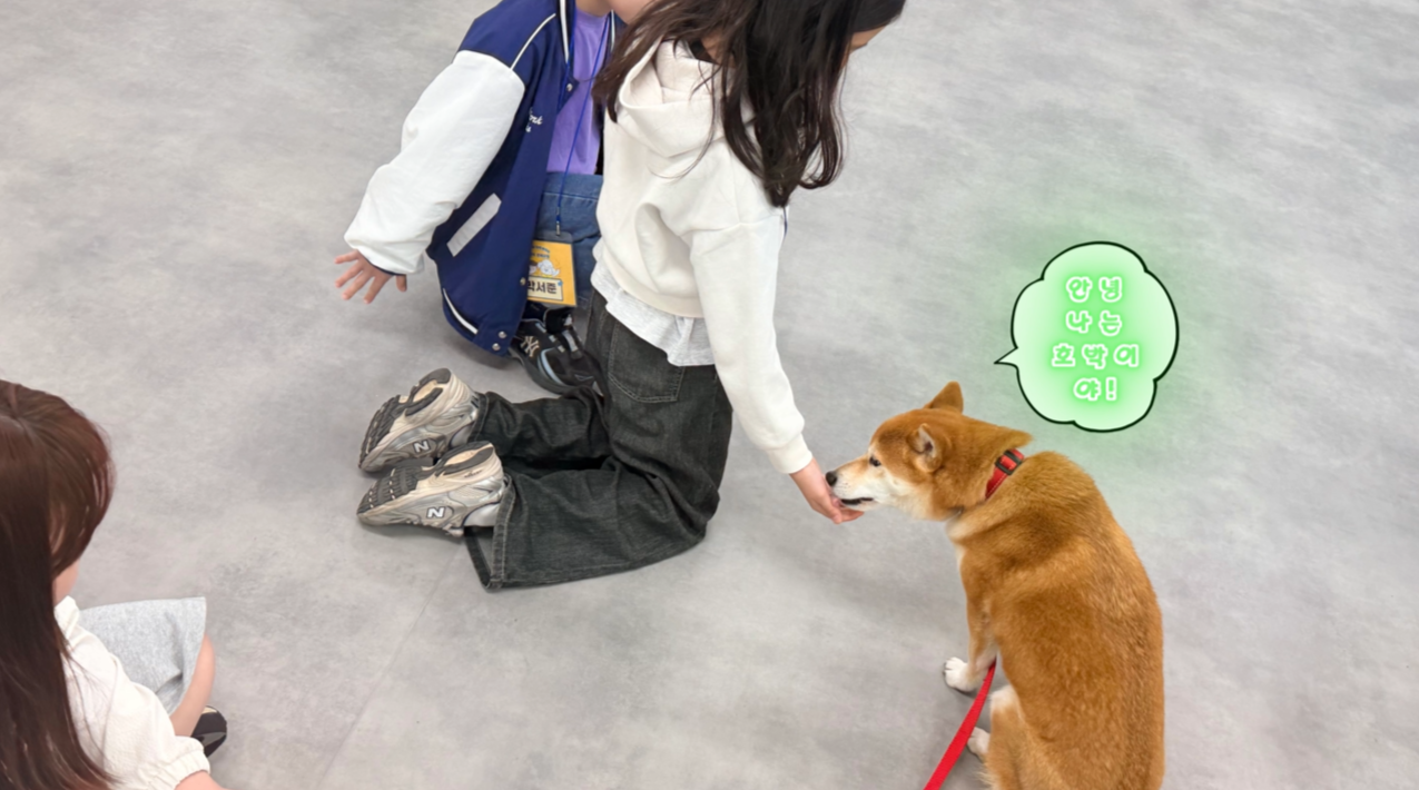 3.png 이미지입니다.