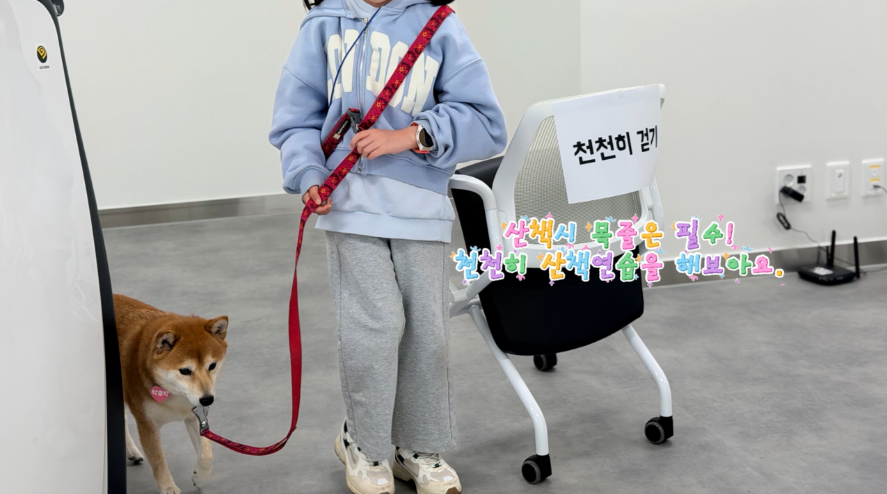 10.png 이미지입니다.