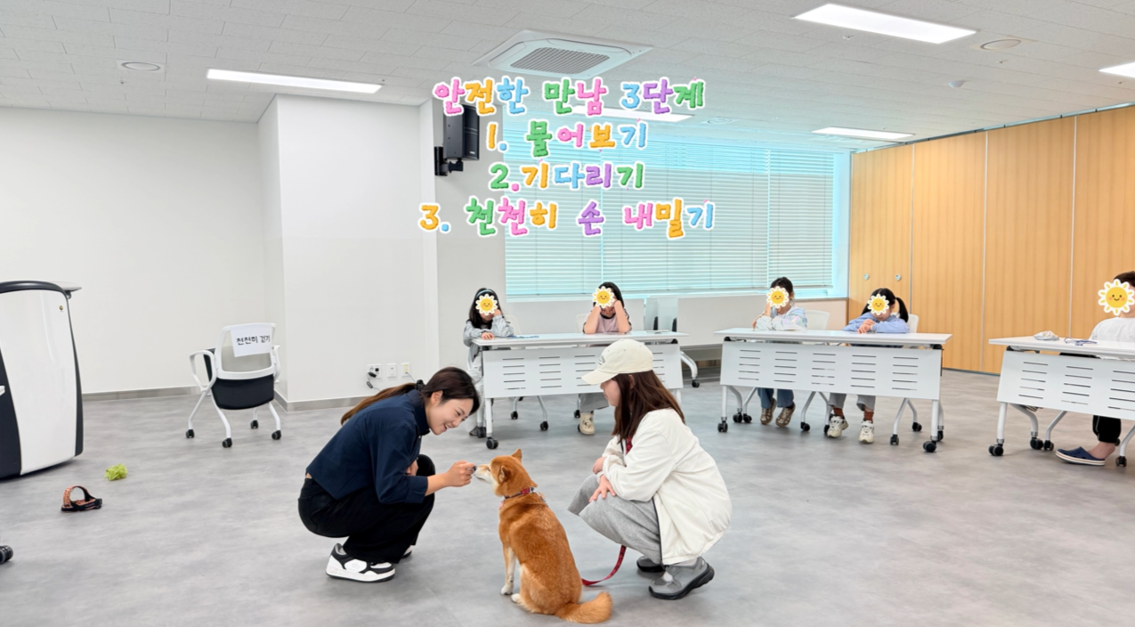 11.png 이미지입니다.