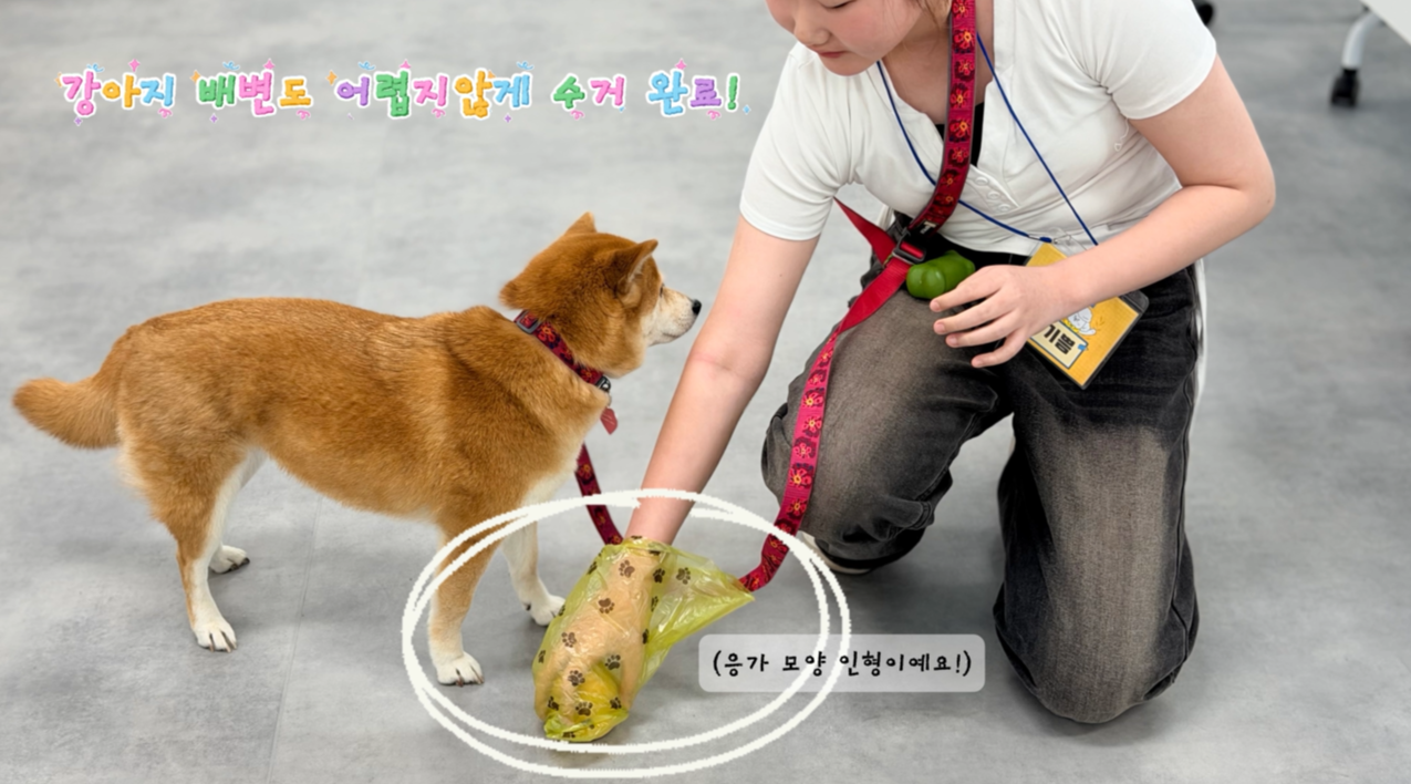 12.png 이미지입니다.
