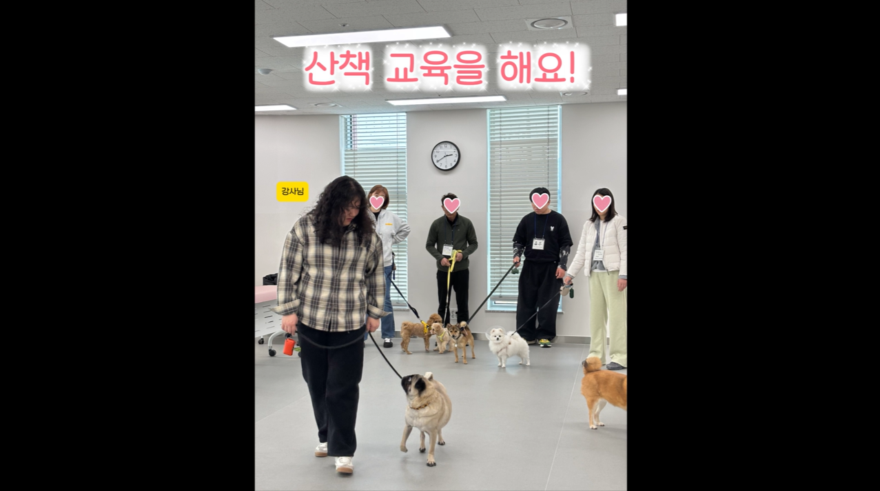 퍼피교육 (2).png 이미지입니다.