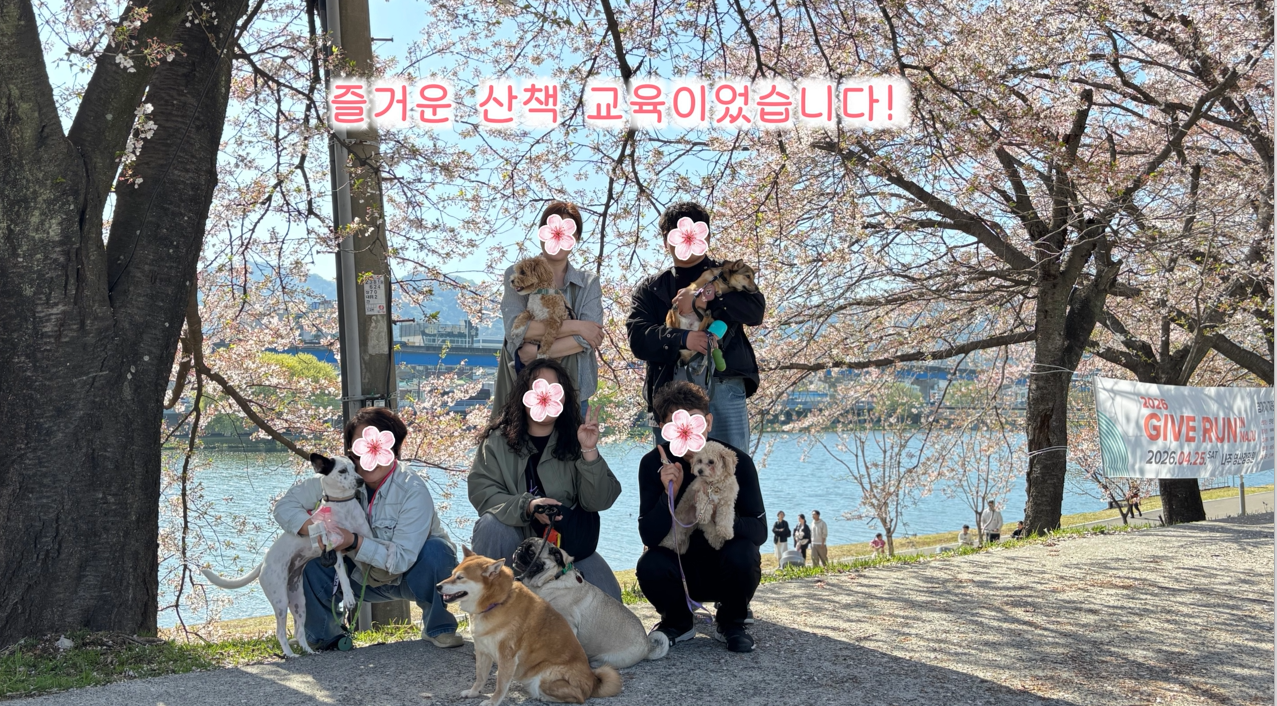 퍼피교육 (18).png 이미지입니다.