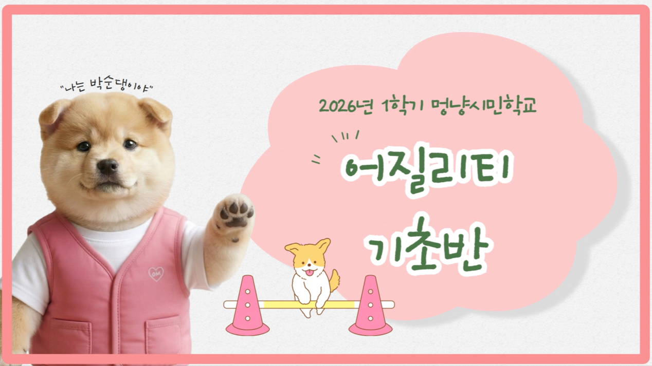 어질리티기초반 (1).png 이미지입니다.