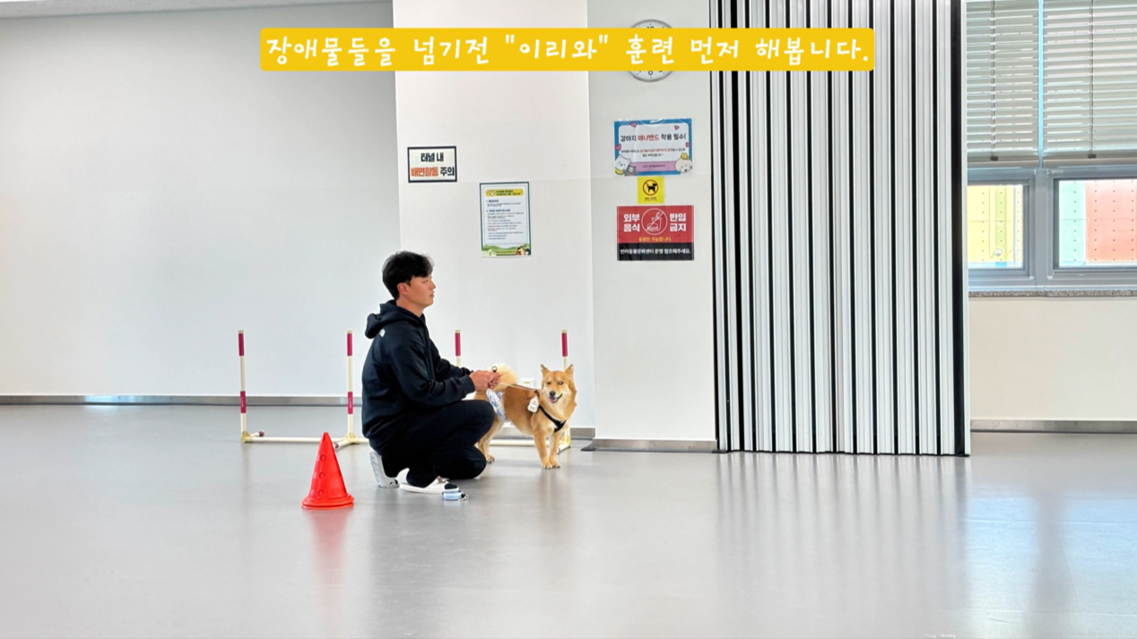 어질리티기초반 (2).png 이미지입니다.