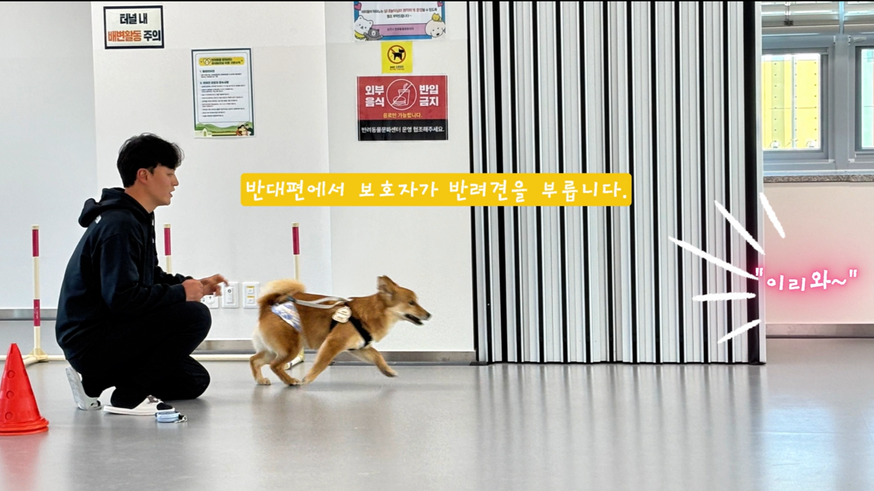어질리티기초반 (3).png 이미지입니다.