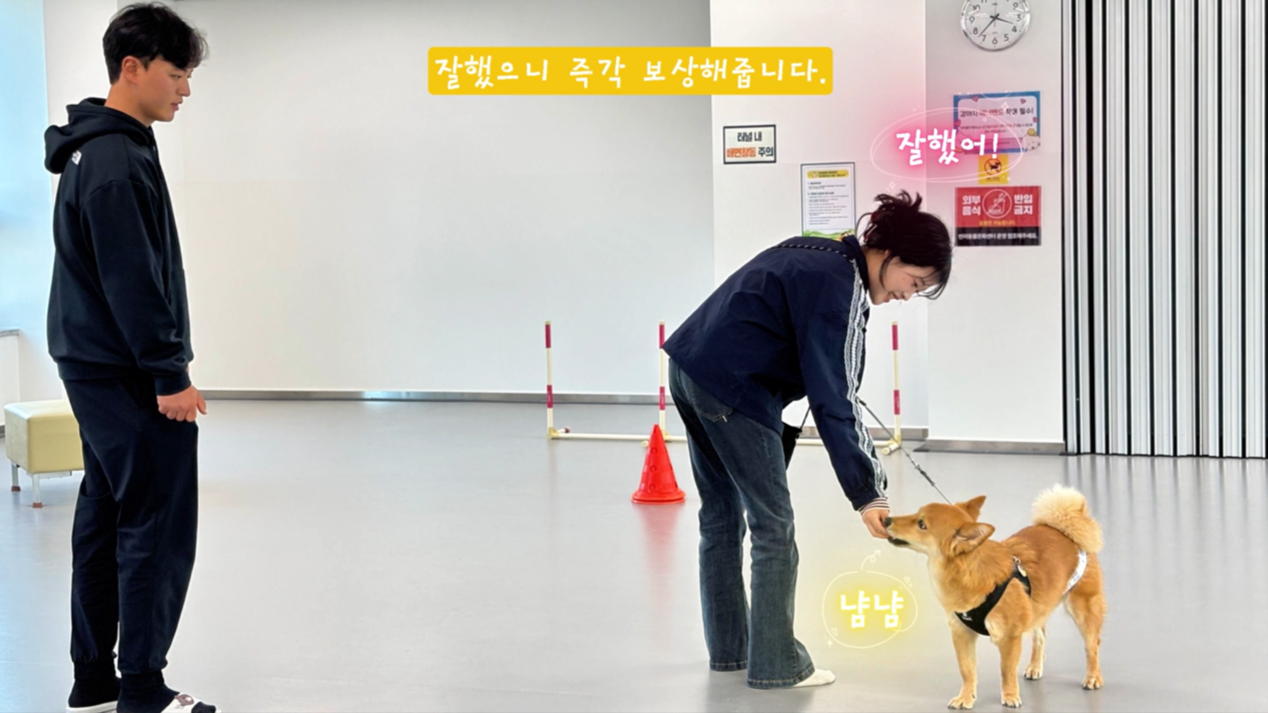 어질리티기초반 (4).png 이미지입니다.