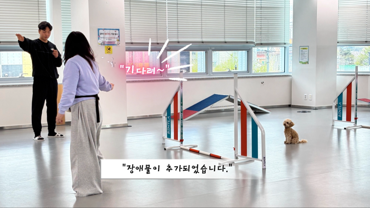 어질리티기초반 (5).png 이미지입니다.