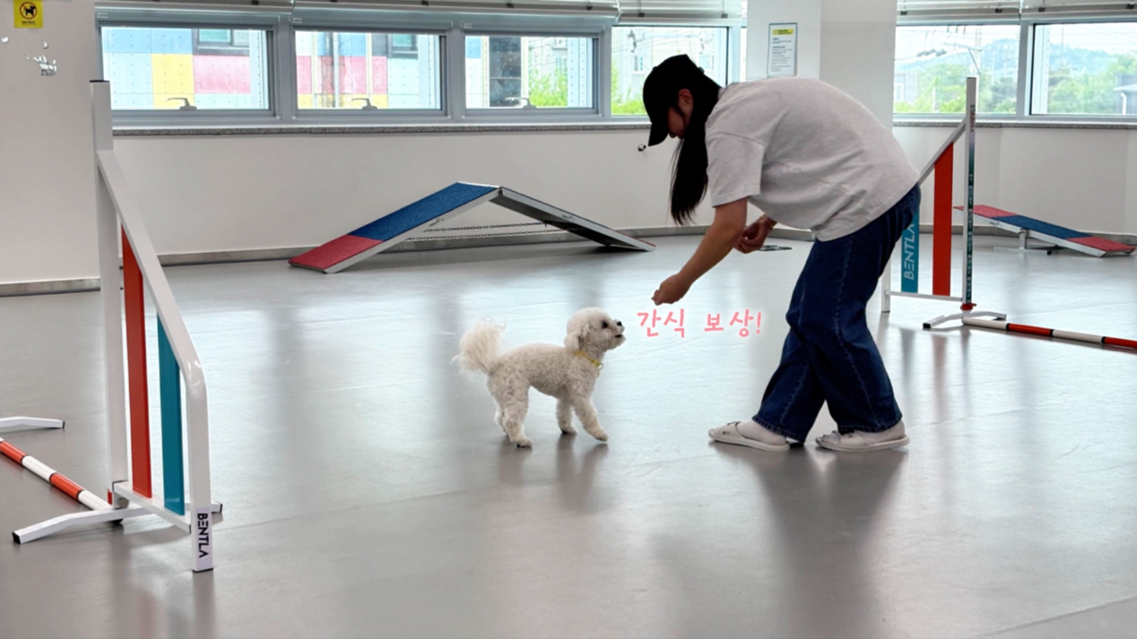 어질리티기초반 (7).png 이미지입니다.