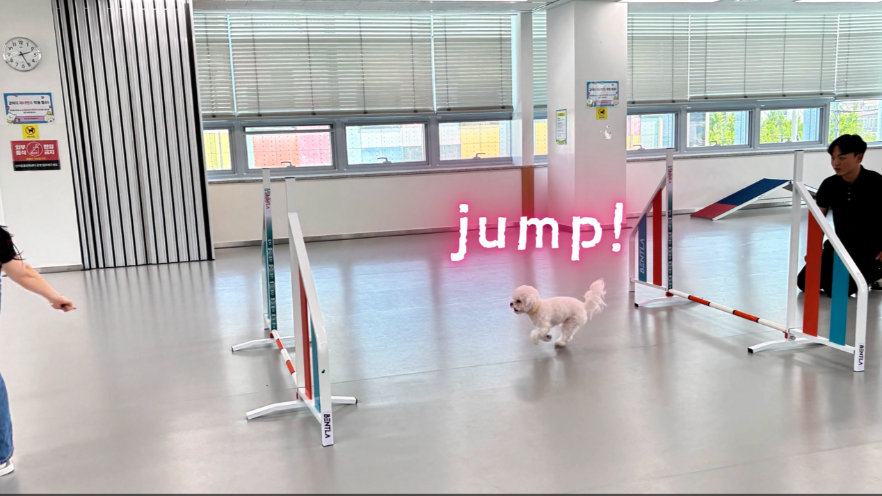 어질리티기초반 (9).png 이미지입니다.