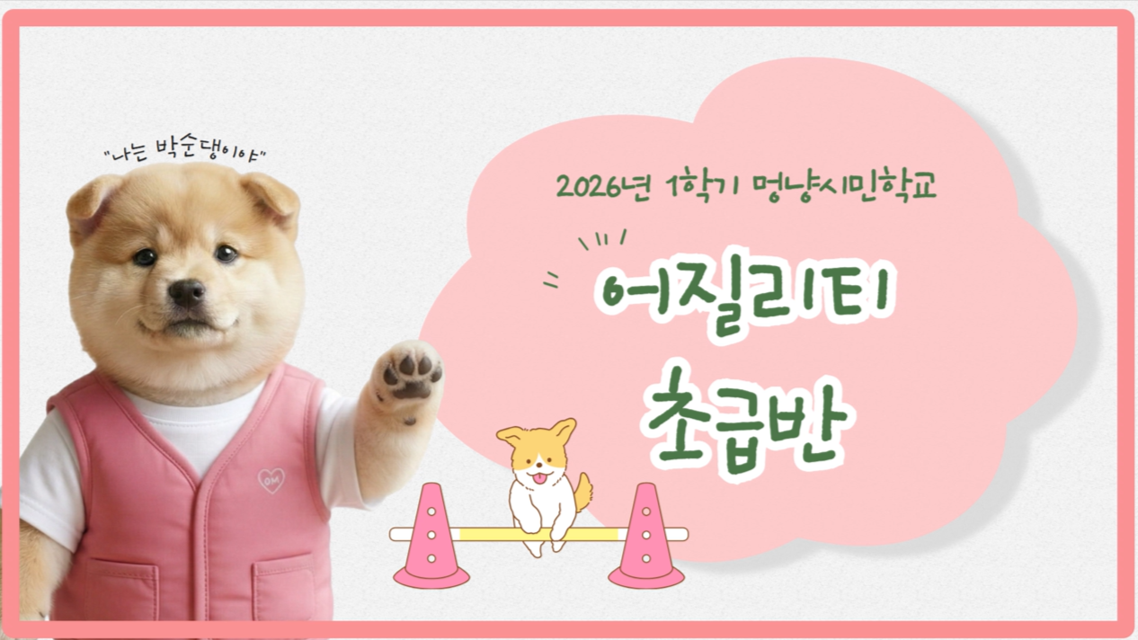 초급반 (1).png 이미지입니다.