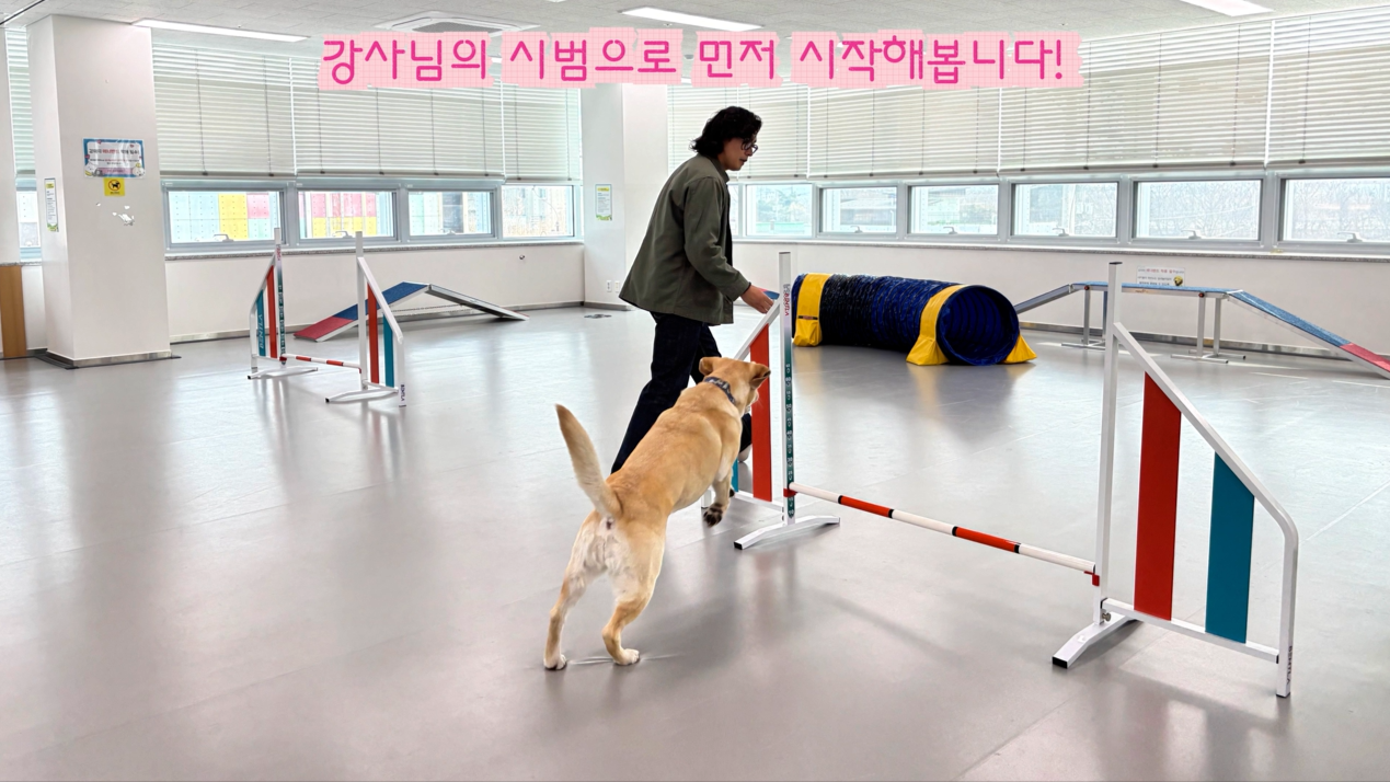 초급반 (2).png 이미지입니다.