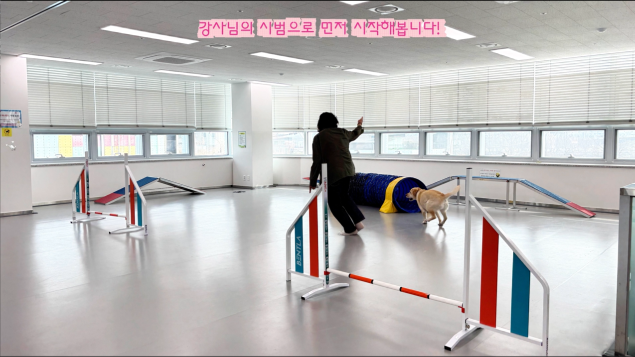 초급반 (3).png 이미지입니다.