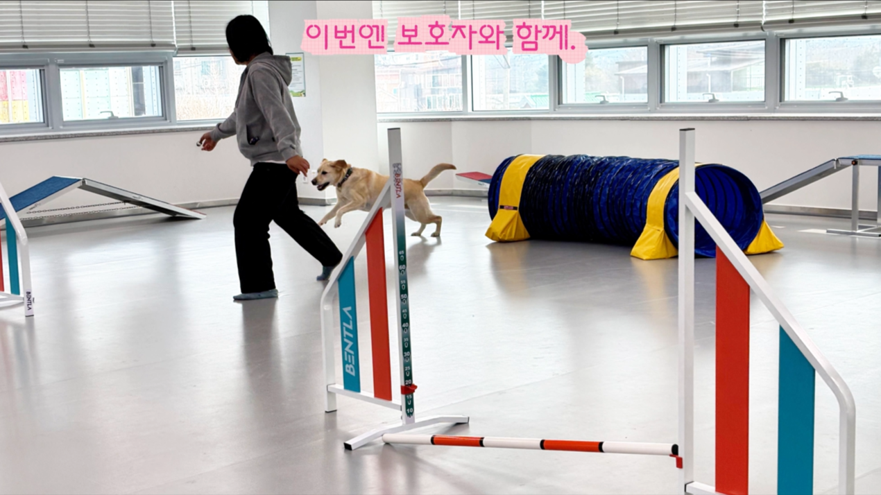 초급반 (4).png 이미지입니다.