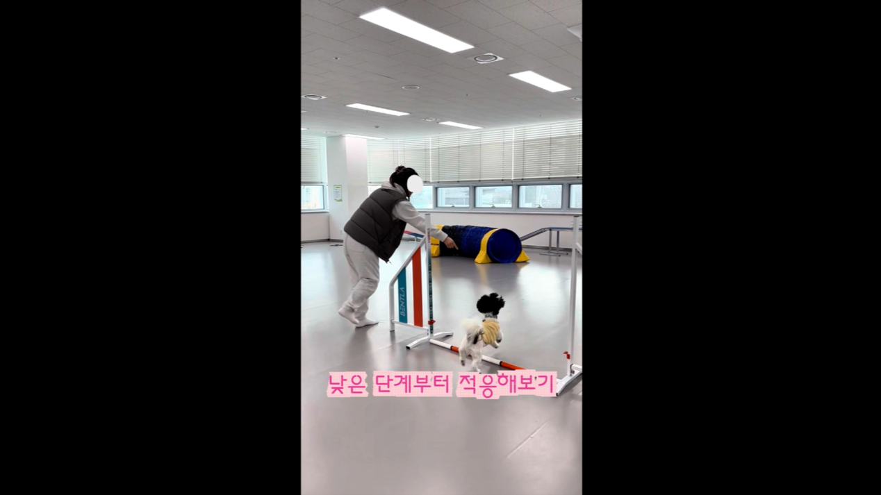 초급반 (7).png 이미지입니다.
