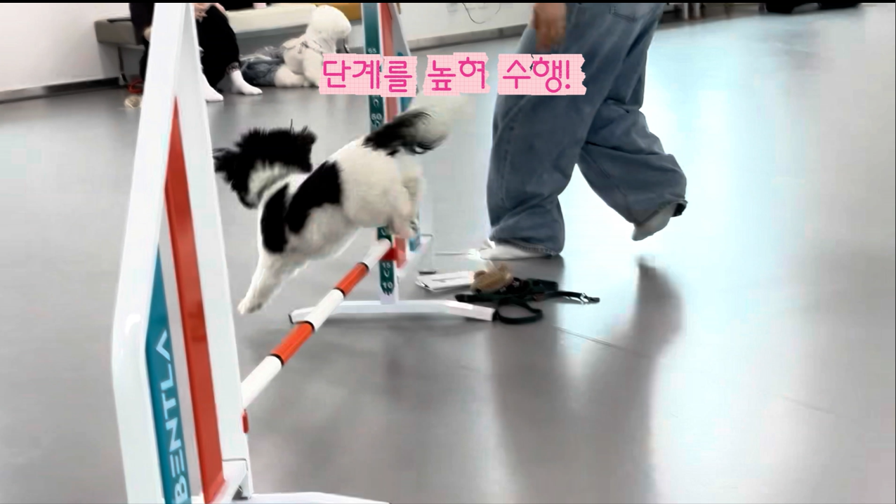 초급반 (8).png 이미지입니다.