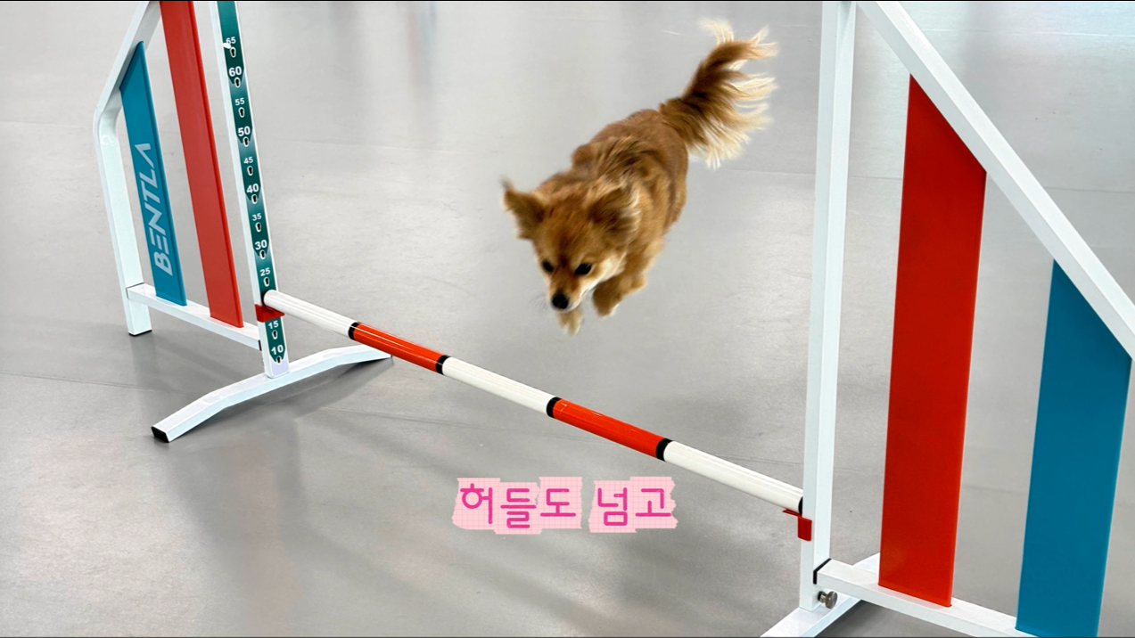 초급반 (9).png 이미지입니다.