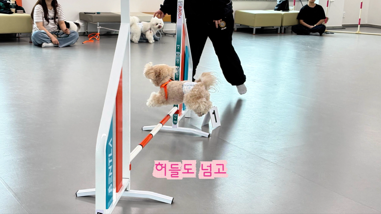 초급반 (10).png 이미지입니다.