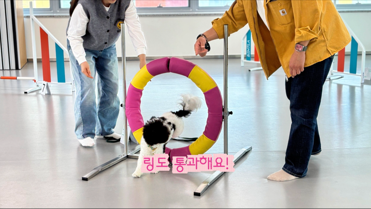 초급반 (12).png 이미지입니다.