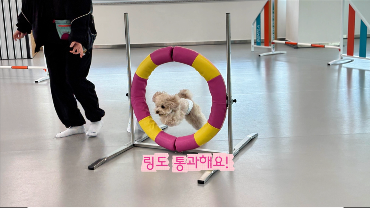 초급반 (13).png 이미지입니다.