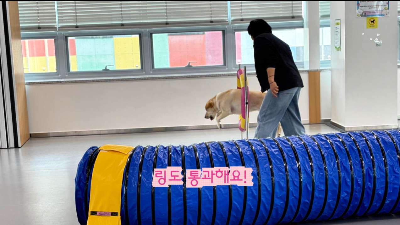 초급반 (14).png 이미지입니다.