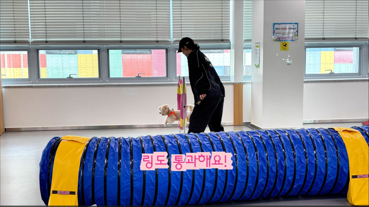 초급반 (15).png 이미지입니다.