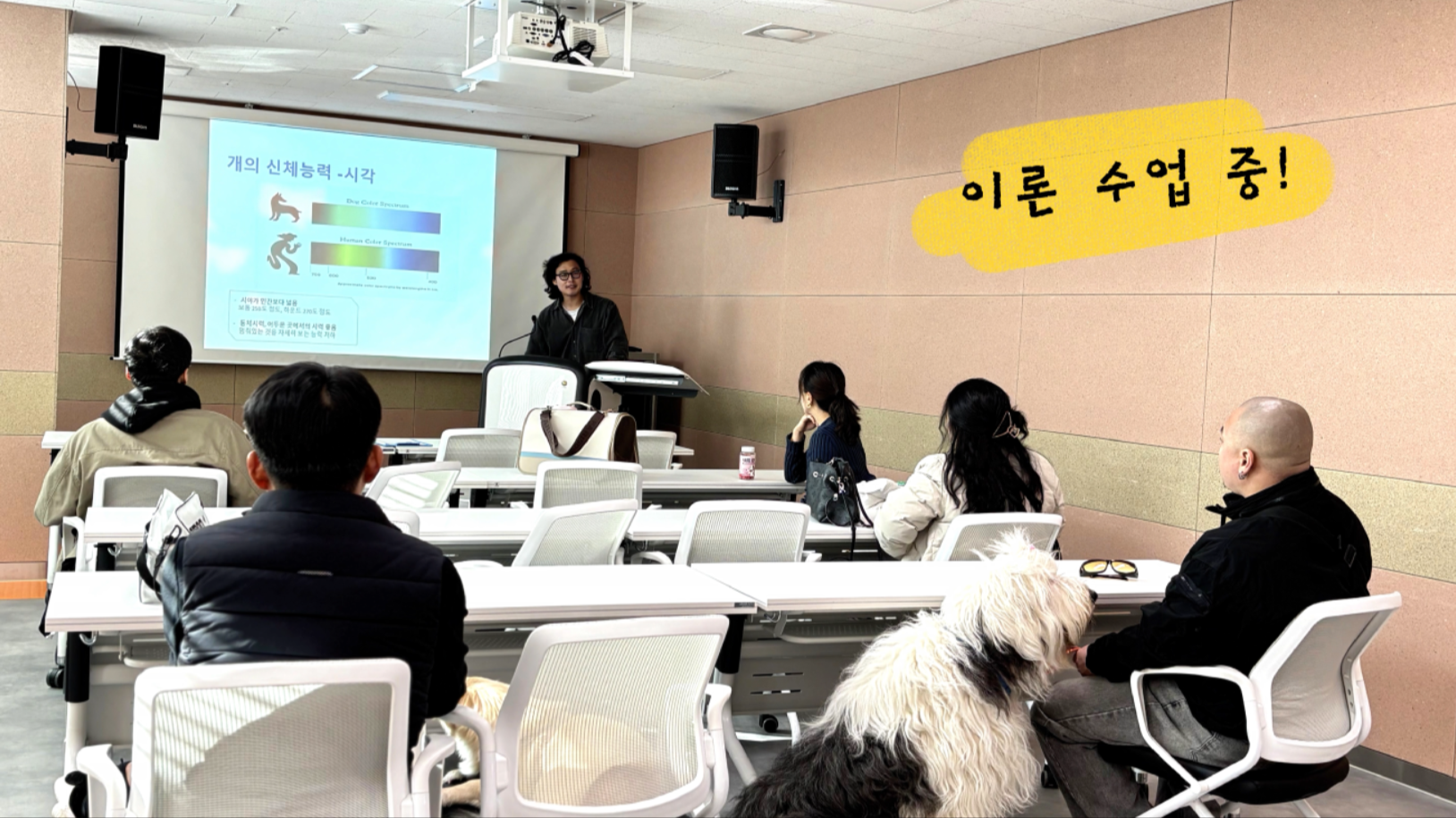 중급반 (2).png 이미지입니다.