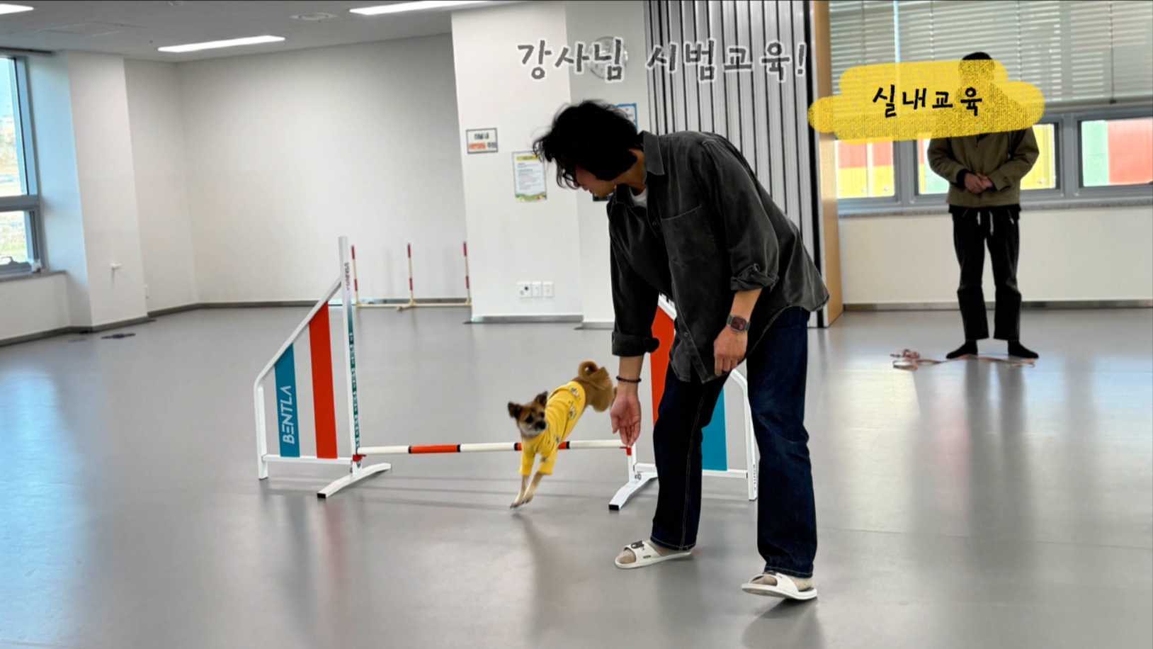 중급반 (3).png 이미지입니다.