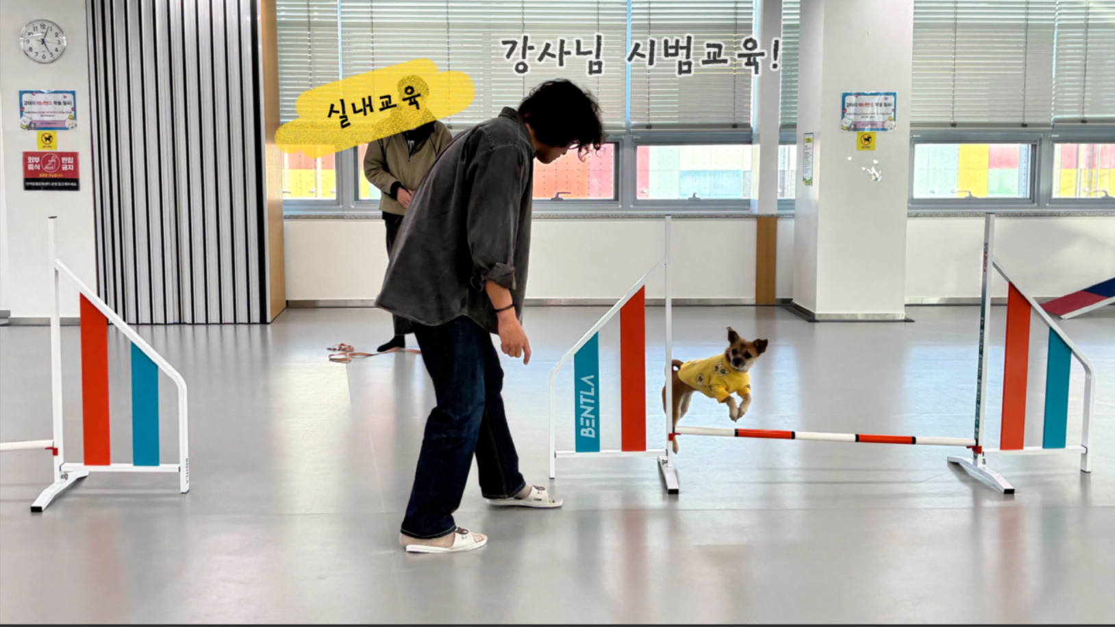 중급반 (4).png 이미지입니다.