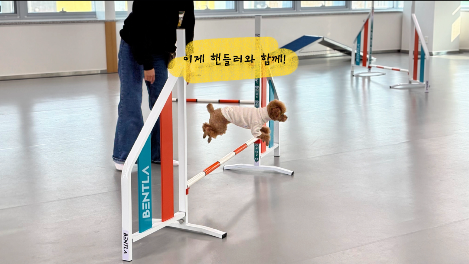 중급반 (5).png 이미지입니다.