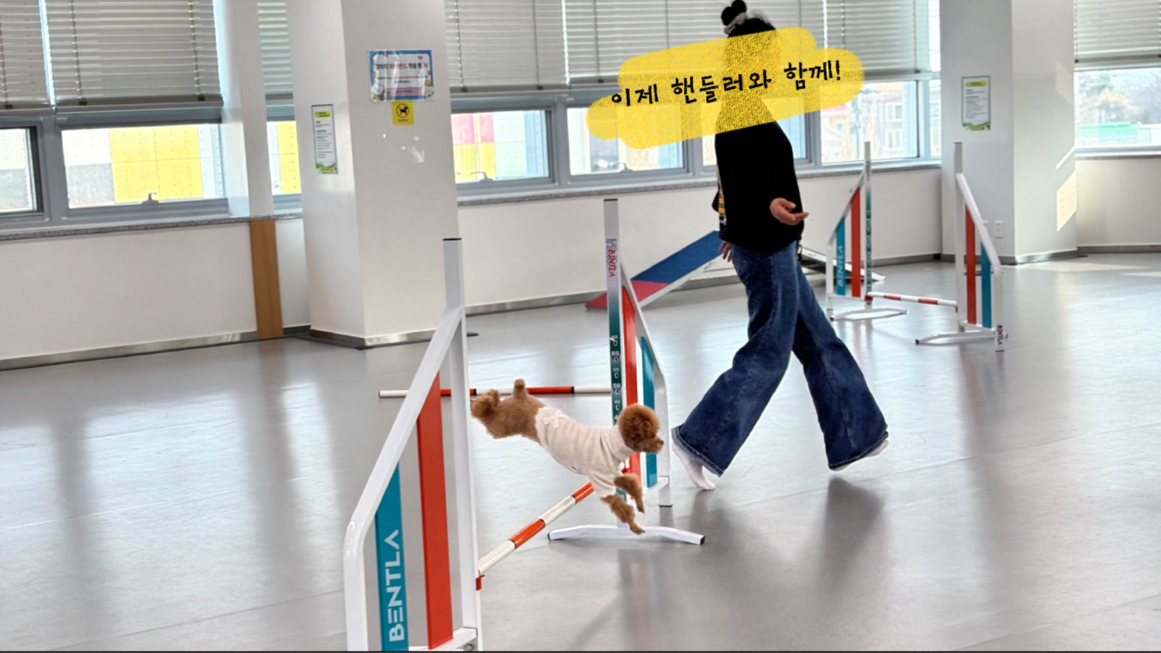 중급반 (6).png 이미지입니다.