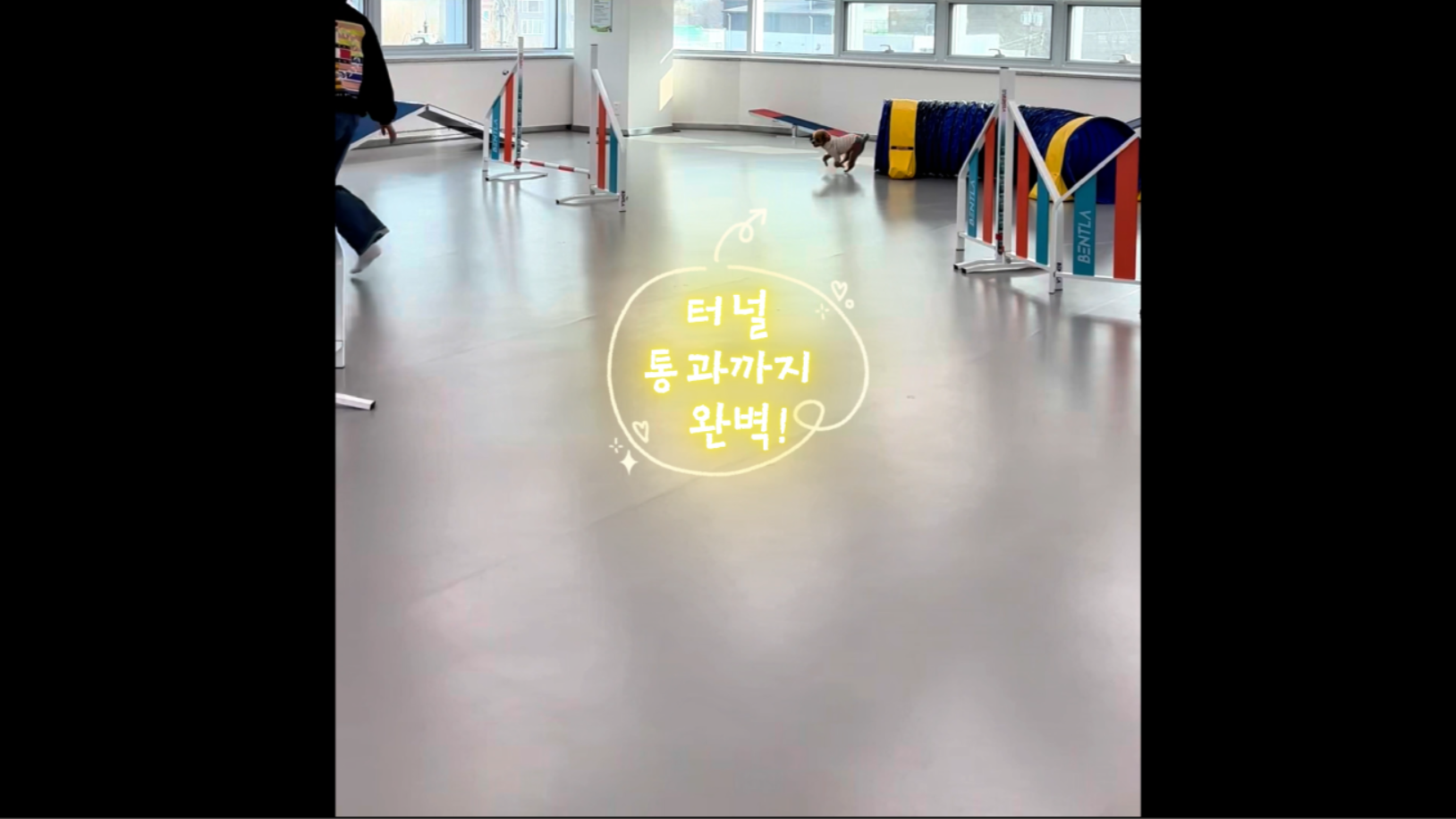 중급반 (7).png 이미지입니다.