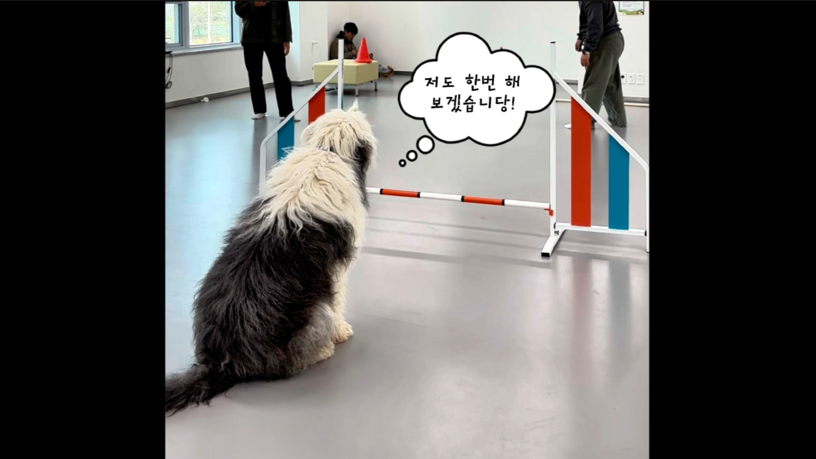 중급반 (8).png 이미지입니다.