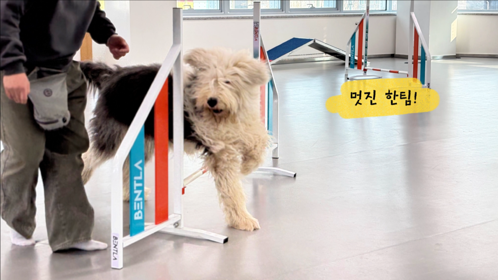 중급반 (10).png 이미지입니다.