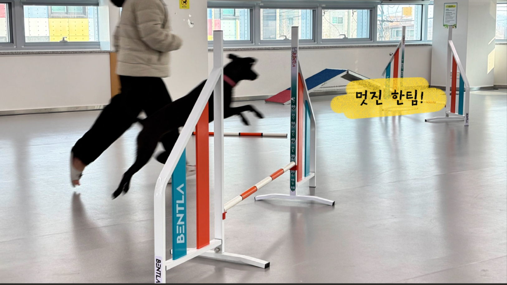 중급반 (11).png 이미지입니다.