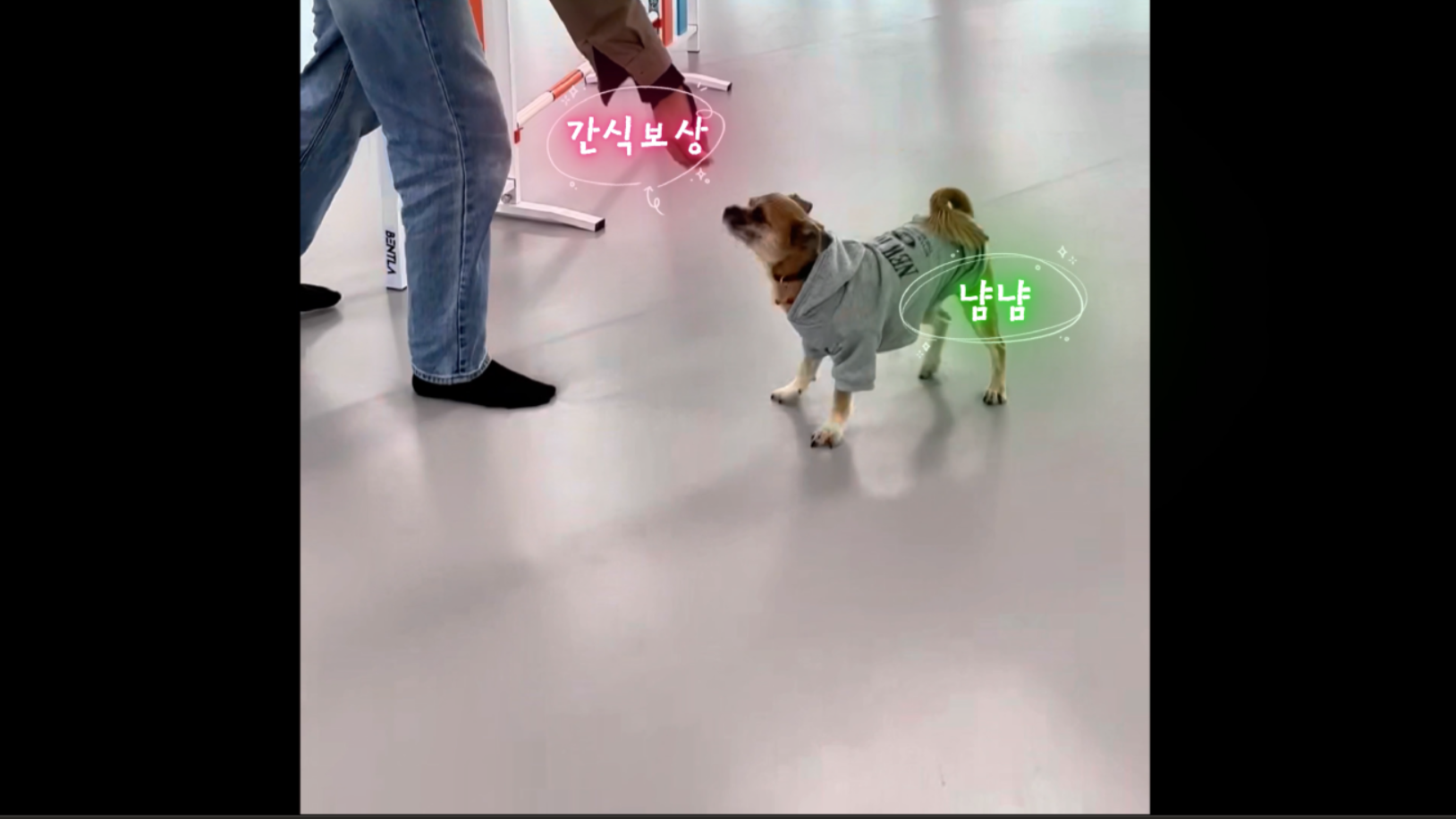 중급반 (13).png 이미지입니다.