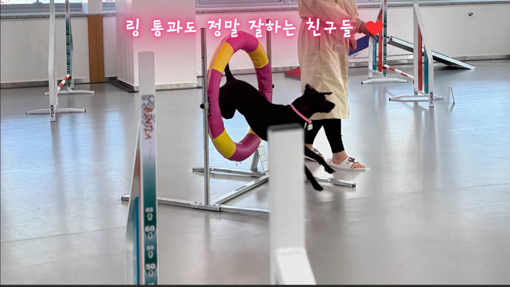 중급반 (14).png 이미지입니다.