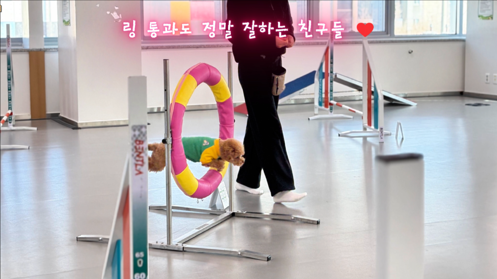중급반 (15).png 이미지입니다.