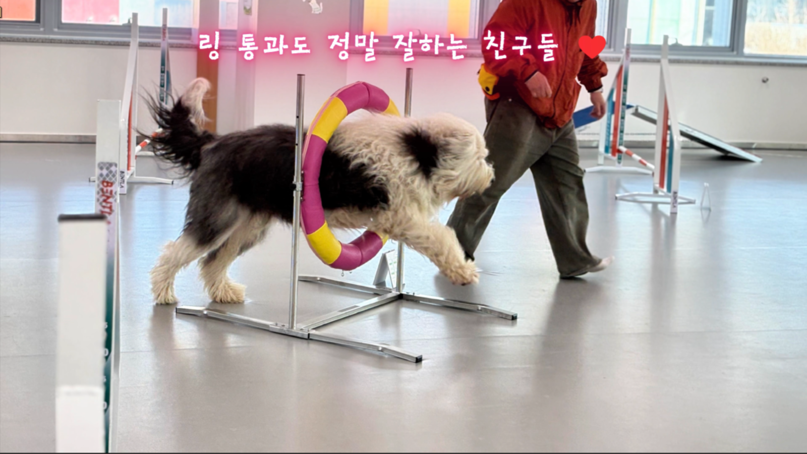 중급반 (16).png 이미지입니다.