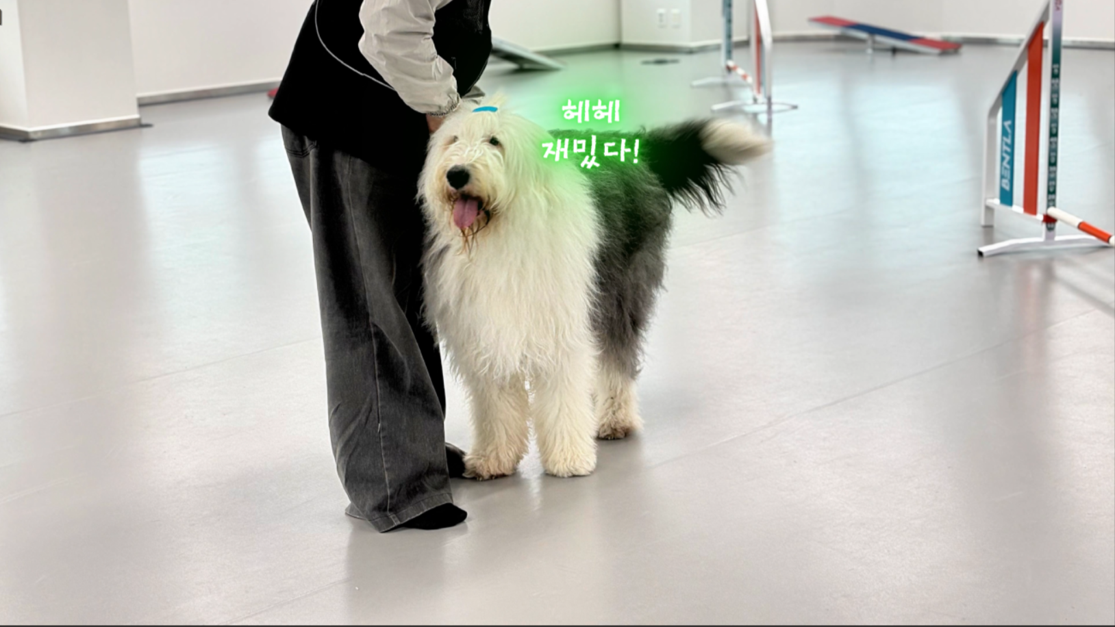 중급반 (17).png 이미지입니다.