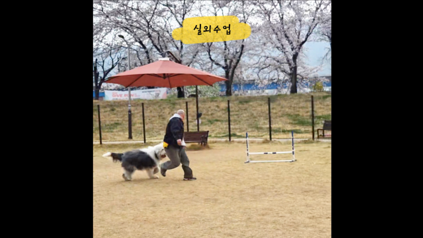 중급반 (18).png 이미지입니다.