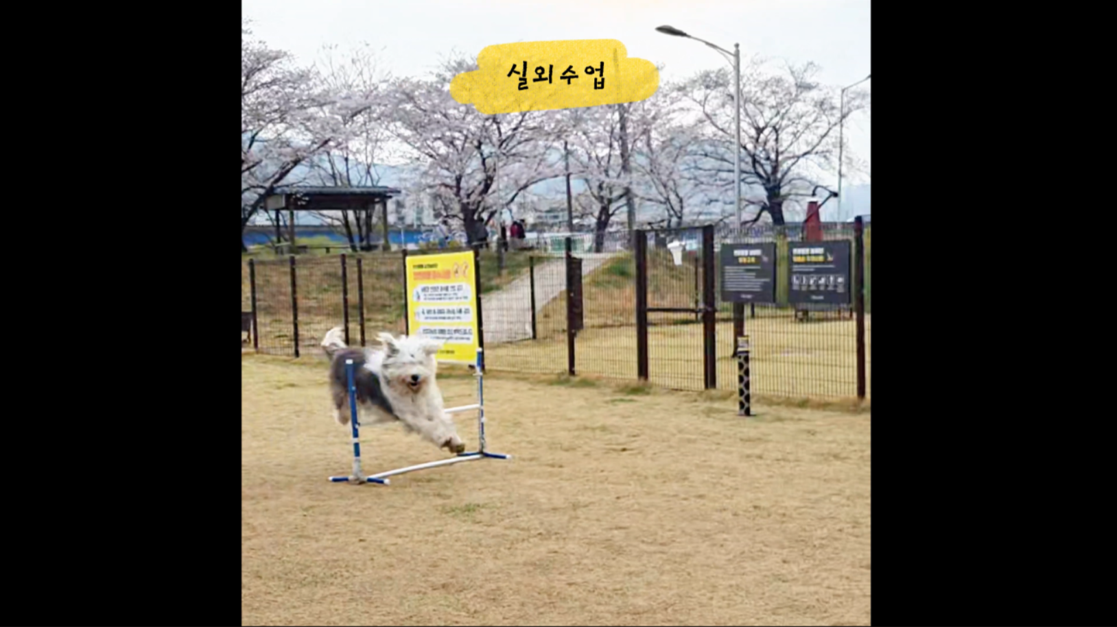 중급반 (19).png 이미지입니다.