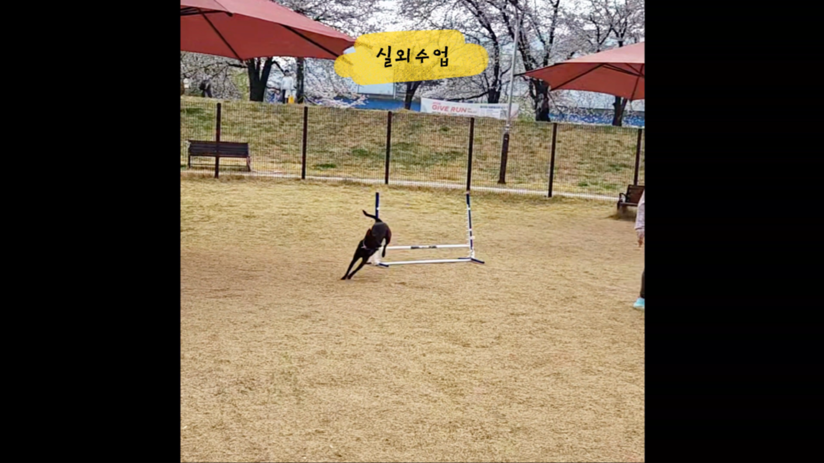 중급반 (20).png 이미지입니다.