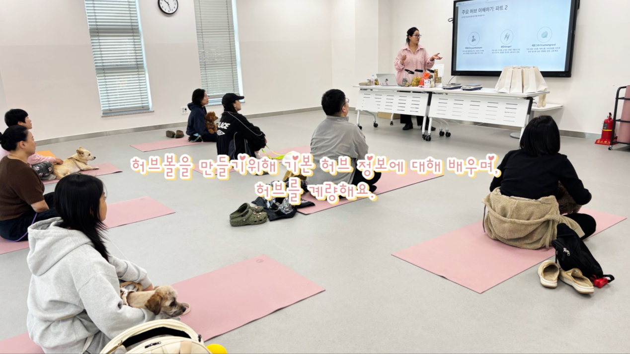 1 (1).png 이미지입니다.