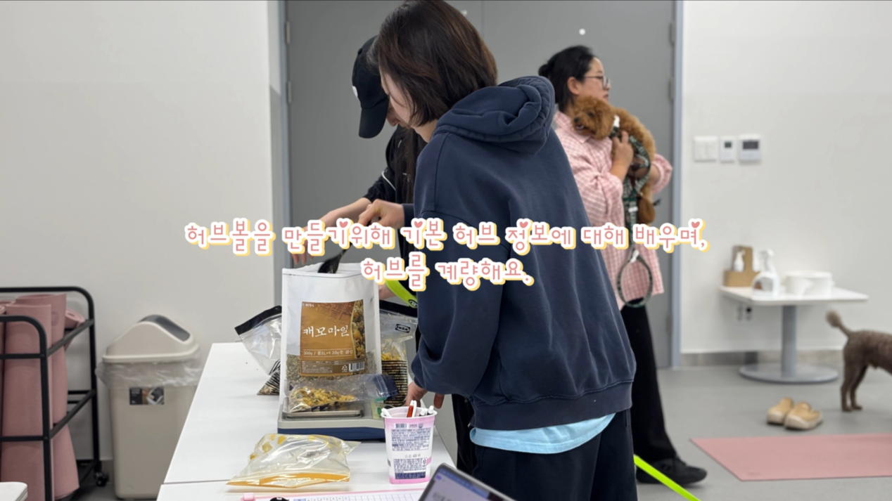 1 (2).png 이미지입니다.