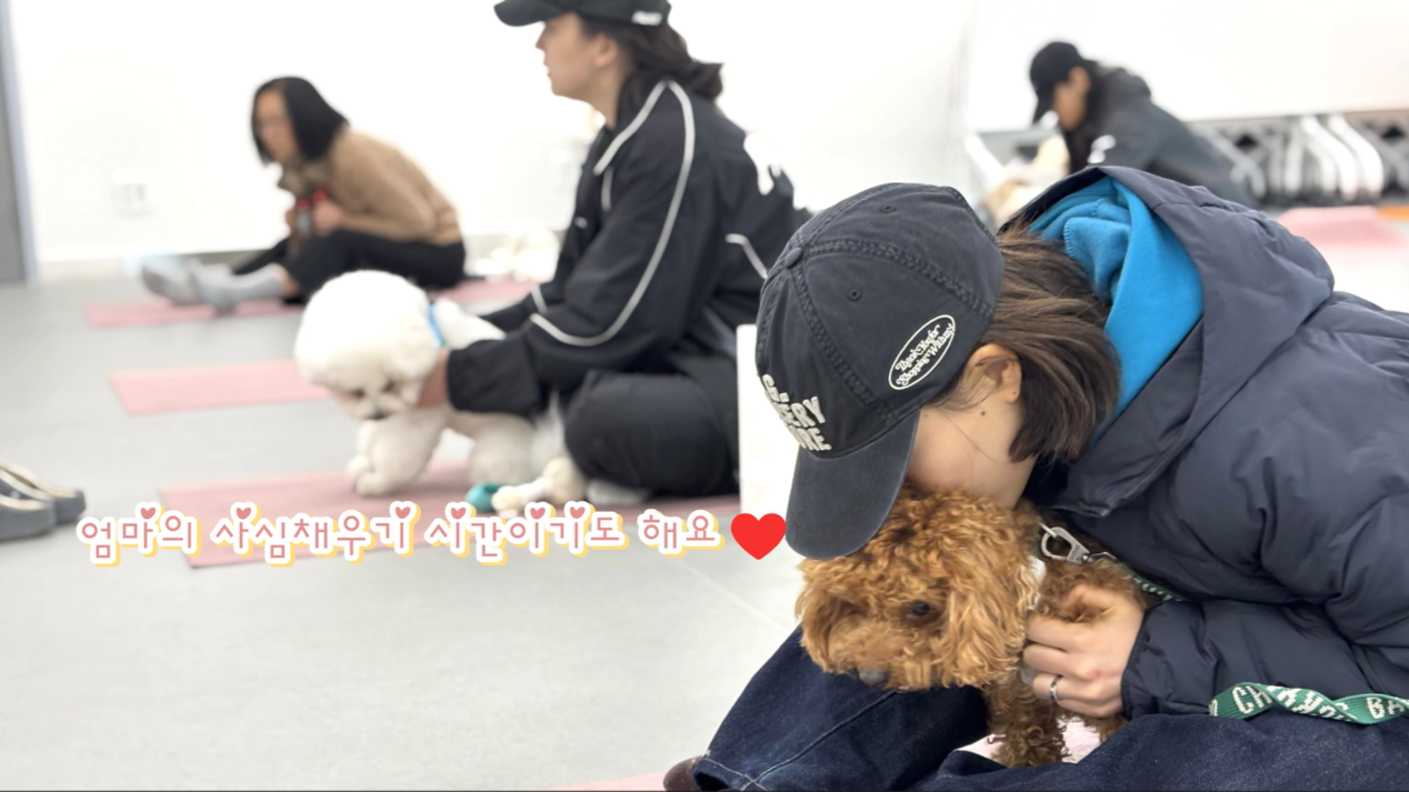 1 (5).png 이미지입니다.